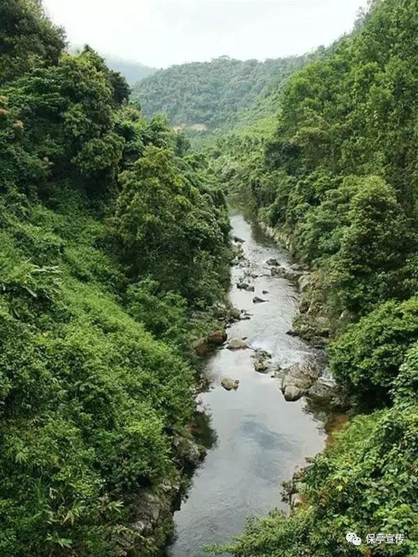 孤岛危机3
